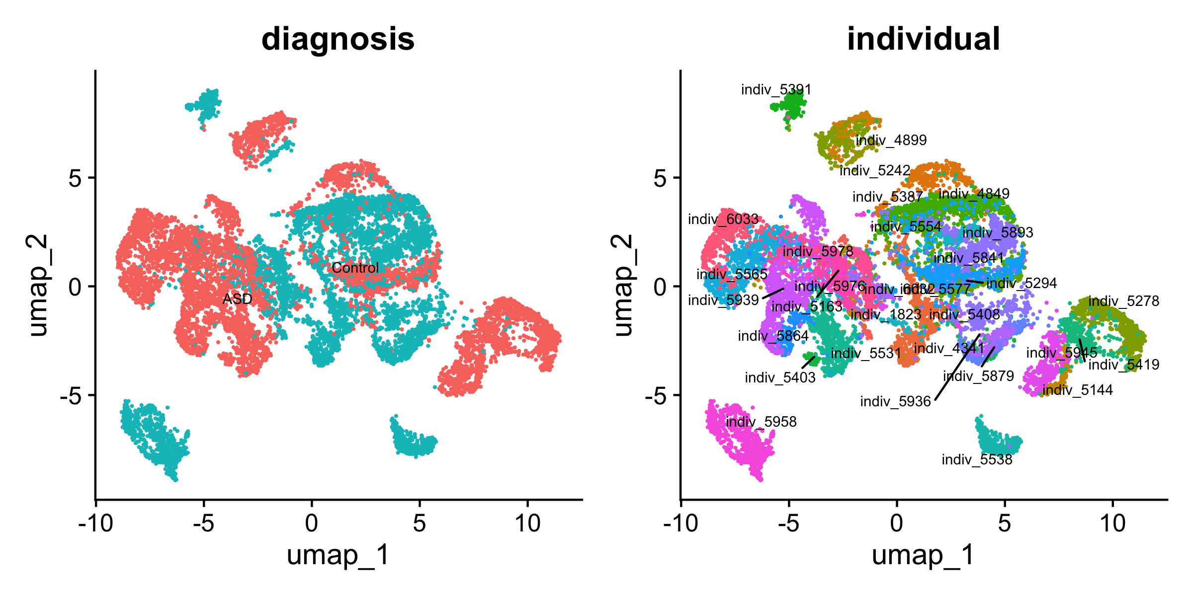 UMAP of the L2/3 neurons, colored by diagnosis (left) and by individual (right)