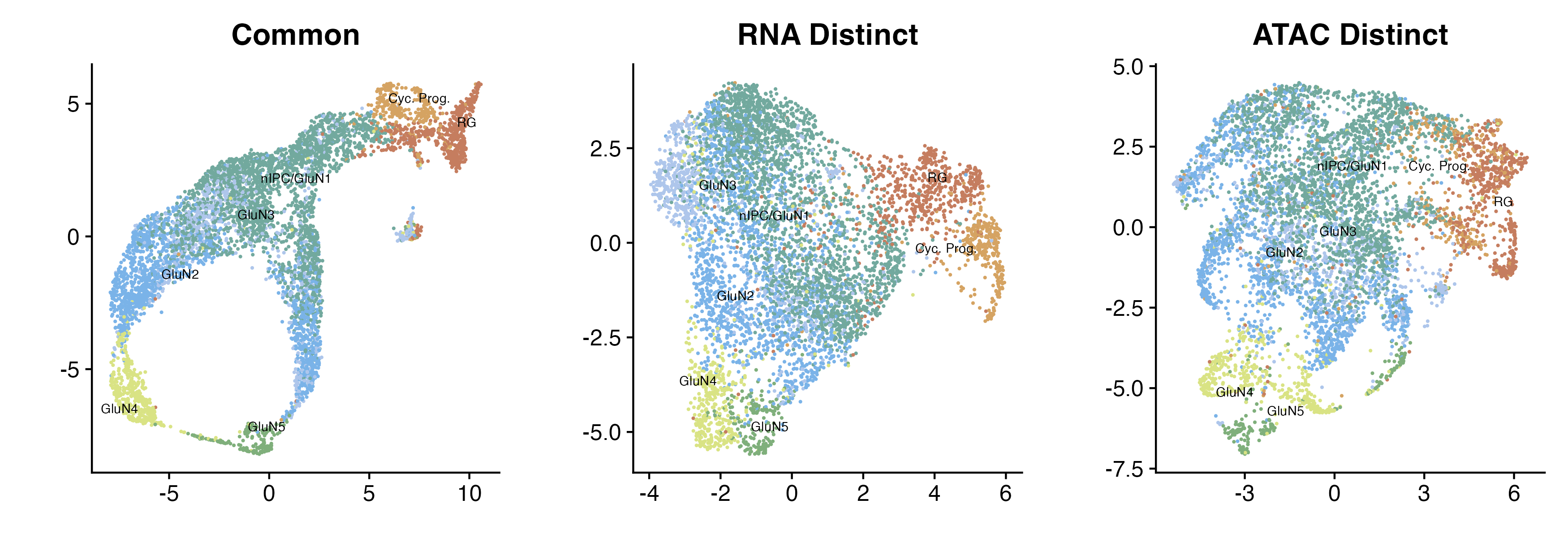 Common, RNA distinct, and ATAC distinct embeddings